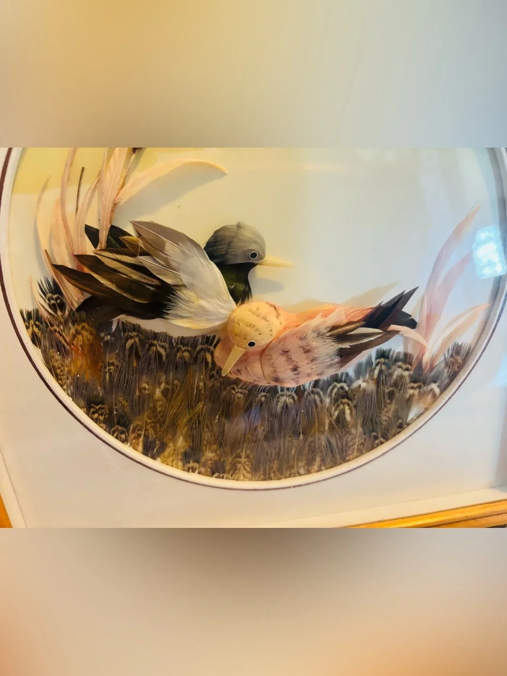 Vintage Mexican Feather Art Framed - Real Feathers Birds in Marsh Reed